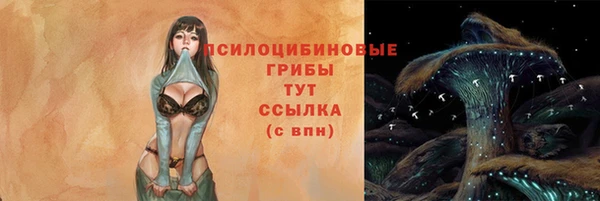 соль ск Горняк