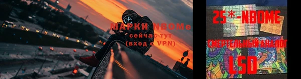 амф Вяземский