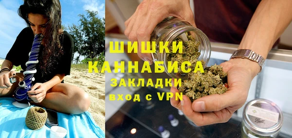амф Вяземский