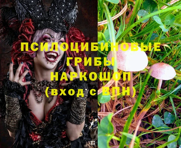 MESCALINE Вязники